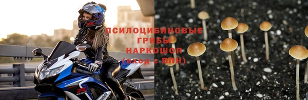 МДПВ Богданович