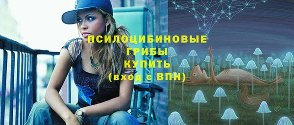 МДПВ Богданович