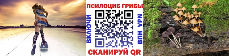 Купить где  Черемхово  Галлюциногенные грибы прущие грибы 