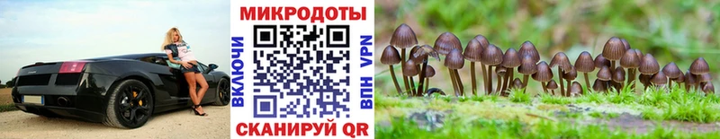 Псилоцибиновые грибы GOLDEN TEACHER Черемхово